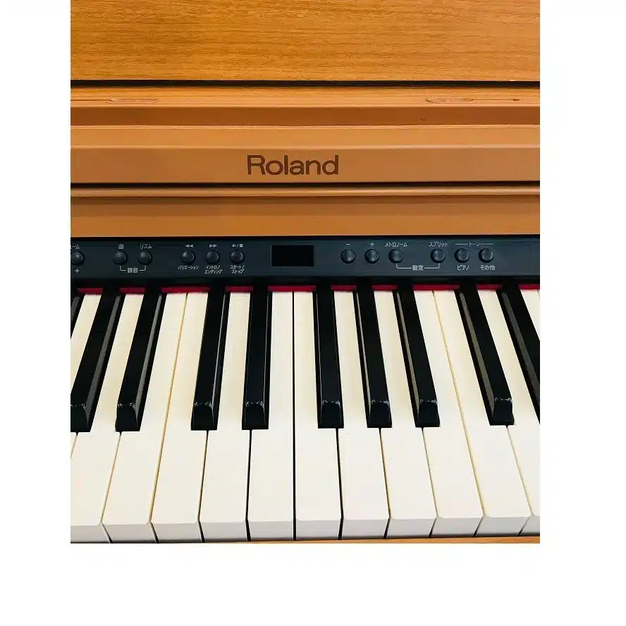 2-roland-rp-401c_master