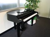 Đàn piano điện Grand