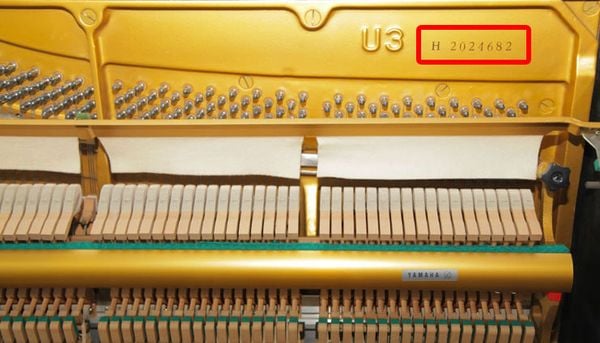 Số seri đàn upright Yamaha